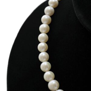 Modern Minimalist Pearl Strand